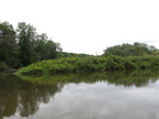 IMG 4439